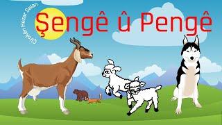 Şengê û Pengê