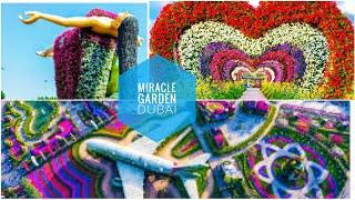 Miracle Garden Dubai || Guinness Book record  Garden || Hanging Garden Dubai #viral #youtuber