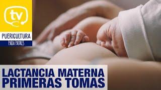 Primeras tomas con la lactancia materna ¡todo lo que debes saber!
