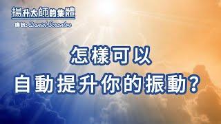 你在為人類集體意識添磚加瓦，同時也在接收來自集體意識的東西【揚升大師的集體】