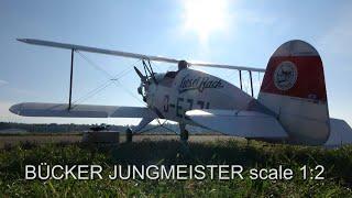 50% Bücker 133 Jungmeister / Robin Trumpp