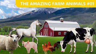 The Amazing Farm Animals #01 - COW, CHICKEN, HORSE, PIG, SHEEP - Coll Animals - 123 ANIMALS ONLY!