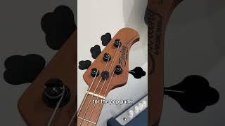 Bass of the Day: Pete Wentz Artist Series StingRay