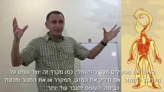 כאבי גב - מדוע כל כך נפוצים? הסיפור האמיתי!! צפו בהרצאה מרתקת ד"ר שמי שגיב כירופרקט