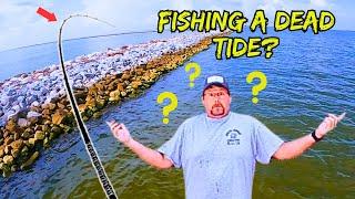 Can You Catch FLOUNDER on a DEAD Tide? Let's Find Out!