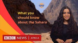 The Sahara: how it affects the climate - BBC What's New