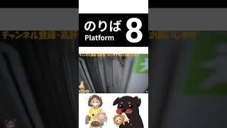 【のりば８】うまく反応できなくて笑うだけのレオン #ゲーム実況 #shorts #vtuber