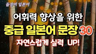 어휘력 향상을 위한 유용한 중급 일본어 30 문장 #57