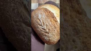 sourdough with Dried Levain(starter)#sourdough#사워도우