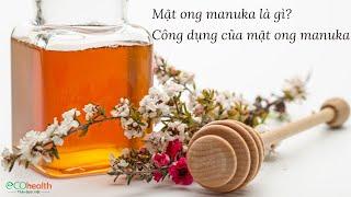 Mật ong manuka là gì? Công dụng của mật ong manuka