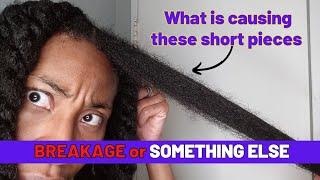 *REQUESTED* Is This BREAKAGE or GROWTH? | Long 4C Hair, Haircare