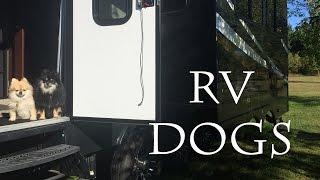 Taking the Dogs in the RV