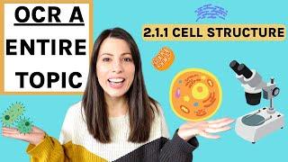 Cell Structure Topic: 2.1.1 OCR A A-level Biology | Cell Structure & Function | Microscopes