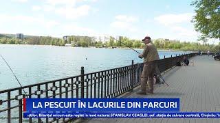 La pescuit în lacurile din parcuri