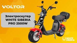 Самый востребованный электроскутер WHITE SIBERIA PRO 2500W