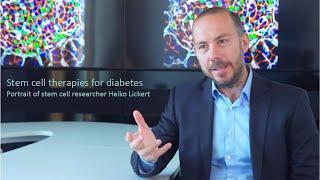 Stem cells for diabetes: portrait Heiko Lickert