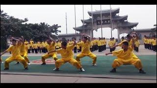 2013 Sweden Shaolin kungfu summer camp in China