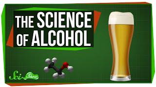 The Science of Alcohol: From Beer to Bourbon