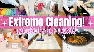 Clean With Me Whole House Reset! Extreme Whole House Cleaning Motivation! Homemaking Vlog