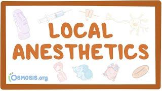 Local anesthetics ~pharmacology~