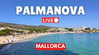  Live in Palmanova, Mallorca (Majorca) | 3 November 2024