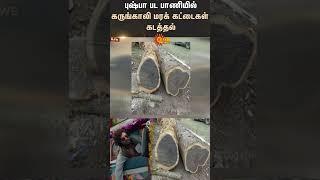 Abduction |Transporting Ebony Logs | Pushpa Movie Style | TN Police | Forest | Sun News