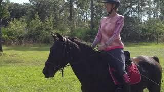 Tracy riding Diamondi