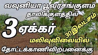 வவுனியா பூவரசங்குளம் தாலிக்குளத்தில்3 ஏக்கர்30சம்மலிவுவிதோட்டக்காணிவிற்பனைக்கு