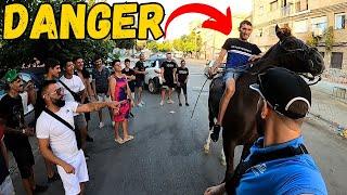 Gypsy Tries to Run Me Over With Horse in Dangerous Ghetto!