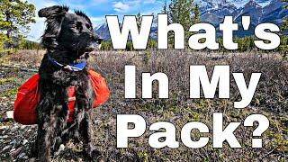 What's In My Pack 2024 Edition | Dog Backpacking Gear For Multiday Trips!