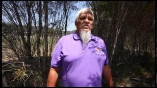 Traditional Aboriginal Sites Guided by Greg Griffiths 1