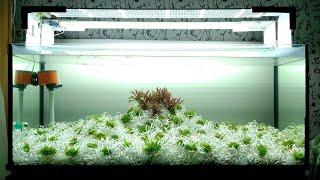 Стружка из вспененного ПВХ в качестве грунта для аквариума часть 1/PVC foam chips  for the aquarium