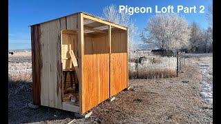 Pigeon Loft Build Part 2