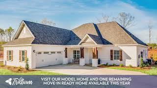 In The Know: Trillium Subdivision: New Construction in Opelika, AL