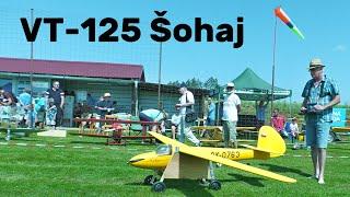 VT-125 Šohaj | 4,3m scale RC glider | 4K | Jirice Airshow 2024