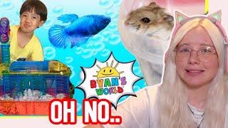 Ryan’s World’s TERRIBLE PET CARE