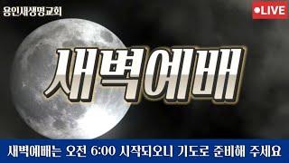 2024-12-18ㅣ김향숙 목사ㅣ용인새생명교회 새벽예배ㅣ이사야 11:10-16