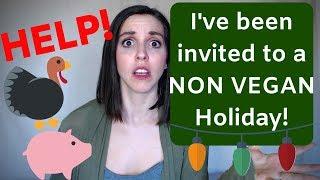 Non-Vegan Holiday Survival Guide | My Family is Not Vegan