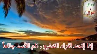 أقوال وحكم من أفريقيا