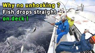 No need to unhook: The secret to fishing tuna at lightning speed!