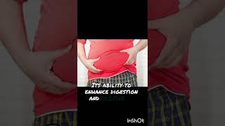 The Digestive Dynamo, Weight Loss Management