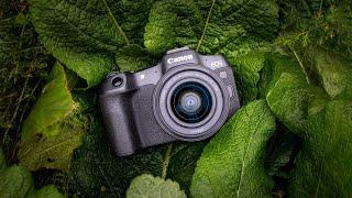 7 Best Budget Mirrorless Cameras In 2024