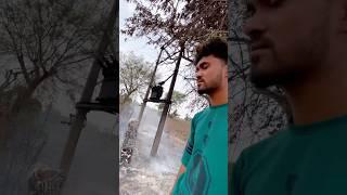 Kya pata kis ne meri dp jala di#balwantpanwarmp #minivlog #vlog #youtubeshorts #viralvideo #sort