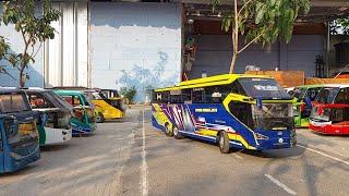 RC Bus STJ Draka, RC Bus ALS, RC Bus Sempati Star, RC Bus Haryanto, RC Bus NPM, RC Truck Trailer,