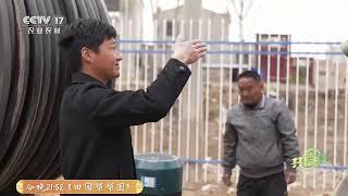 《共富经》 20250623 麦田里的智慧 | 农业致富经 Agriculture And Farming