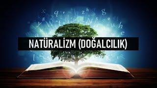 NATÜRALİZM (DOĞALCILIK) NEDİR ?