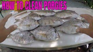 HOW TO CLEAN PORGIES