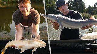 I TOOK STREAMER FISHING! FT. AZDUS!
