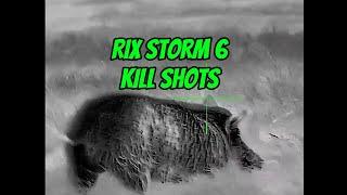 RIX STORM 6 HOG ACTION FOOTAGE