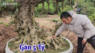 Về Điền Xá tận mắt chiêm ngưỡng đôi long em Nam vừa bán gần 5 tỷ , Thực sự rất đẹp